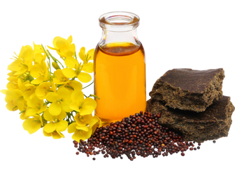 Oil Seeds Crops