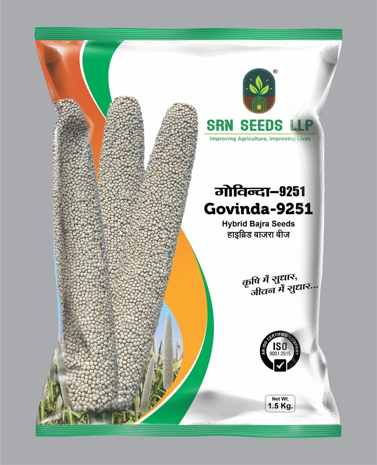 Pearl Millet (Bajra) 2